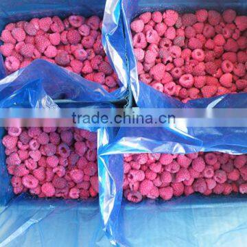 names all fruits frozen fresh raspberry 2016 newcrop iqf raspberries