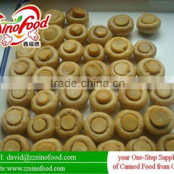 Good Quality champignon mushrooms canned