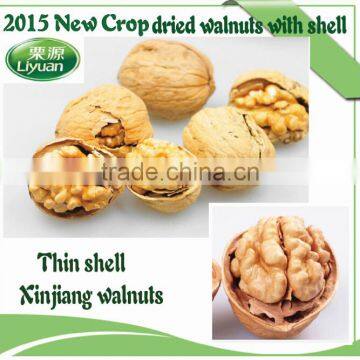 2015 new crop dried thin shell Xinjiang origin walnut in shell