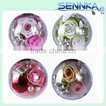 Wholesale Luxuious Fresh Preserved Flower With Glass Ball Holder photo-5