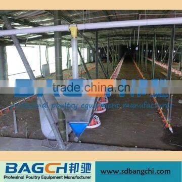 Bangchi Feeding System of Poultry Equipment photo-2