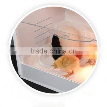 Fully Automatic Chick Hatchery Machine Keep Warm Poultry Equipment photo-4