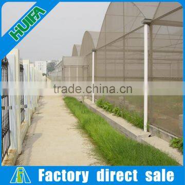 Lowest Price Greenhouse Growing Vegetable photo-3