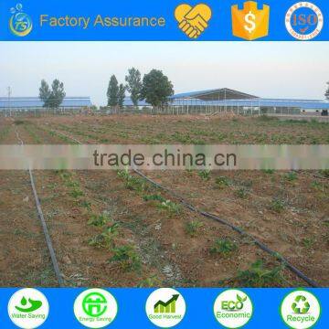 TS Irrigation Build the Automatic Farm Irrigation System for Agriculture photo-3