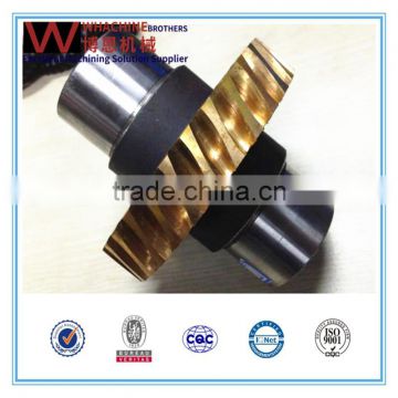 Hot Sale Elevator Worm Gear With High Precision Made By WhachineBrothers ltd