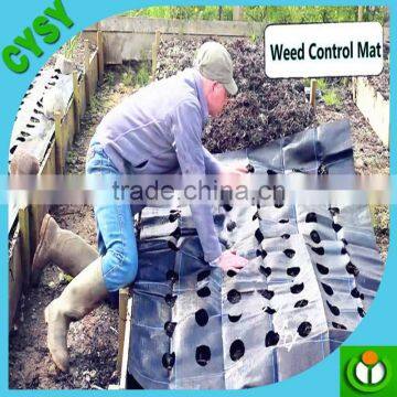 PP Ground Cover,weed Barrier Fabrics, Weed Mat in Strawberry Garden