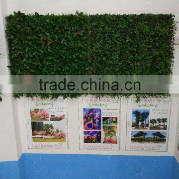CHY040901 Decorative Garden Wall/ Hanging Wall Withplants/vertical Plant Wall photo-2