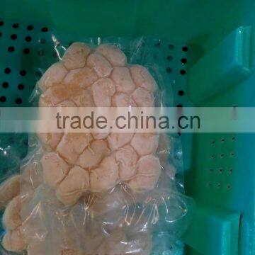 Frozen Vacuum Fan Shell Atrina Pectinata for Sale in Season