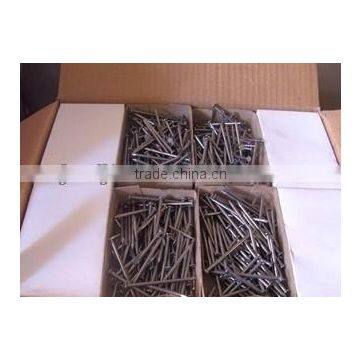 Common iron nails with factory price