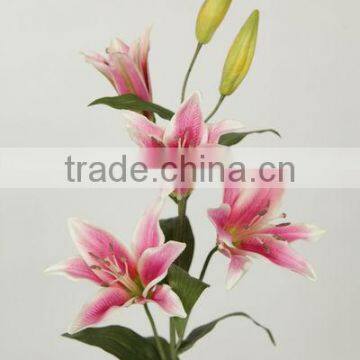 stable supplying exporting variegate color high quality indian wedding flowers