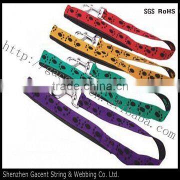 flashing cat leash and pet leash