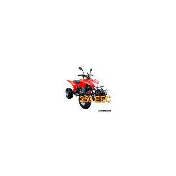 Sell 250cc EEC Approved ATV