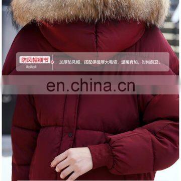 Korean Version of the Thick Down Jacket 2017 Winter Large Size Loose Students Bread Clothes Cotton Clothing Women S1019