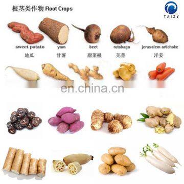 Potato Washer Sweet Potato Peeler Machinery Potato Washing and Peeling Machine photo-3