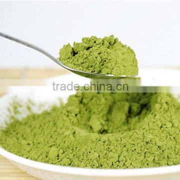 Chinese Japanese green tea powder matcha famous green tea