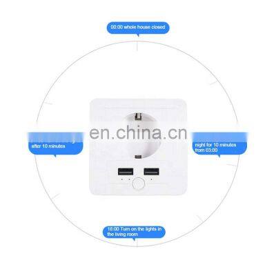 Luxury Home Remote Control Single Port Mini Controlled Outlet App Controls Wall WiFi Smart Socket