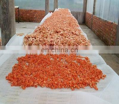 Dried Shrimp with high quality