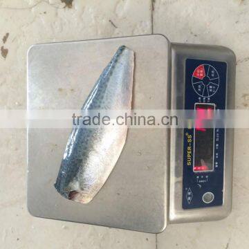 Frozen Scomber Japonicus Mackerel Fillet photo-3
