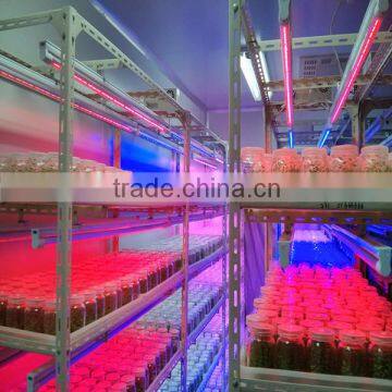 LED Plant Light plant tissue cultured growing led light 18W