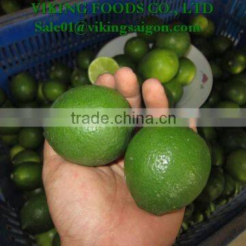 FROZEN SEEDLESS LIME _ HIGHT QUALITY _ GOOD PRICE photo-3