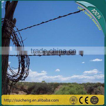 Guangzhou factory cheap galvanized barbed wire length per roll(free sample)