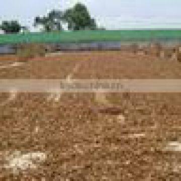 Dried Slice Turmeric