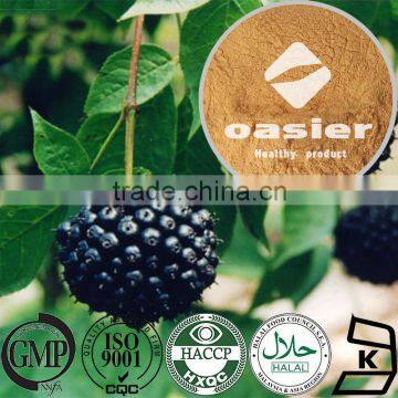 Factory supplier Natural Plant Extract 0.8% 2% 5% Eleutheroside B E Siberian Ginseng Extract with ISO Kosher Certificate