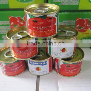 70gram Canned Tomato Paste Packed in 50 Tins per Carton photo-5