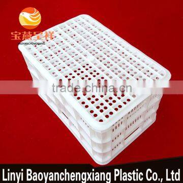 535x365x310mm Plastic Fruit Basket for Transportation photo-5