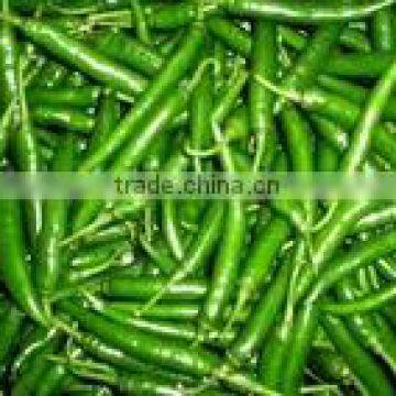 Green Chilli