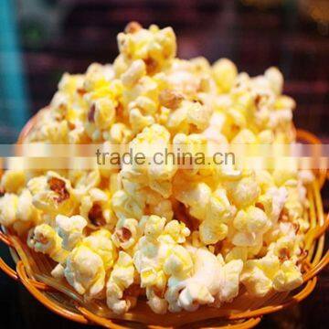 Air Flow Puffing Machine photo-5