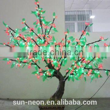 Bonsai Tree Sale