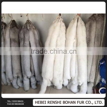 Gold Supplier China The White Fox photo-4