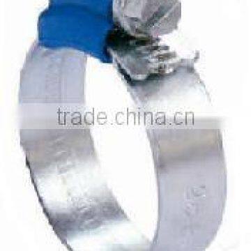 Hose clamp