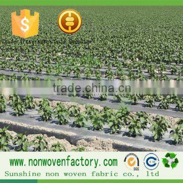 Nonwoven Fabric Polypropylene Price per kg Non Woven Fabric Weed Mat photo-2