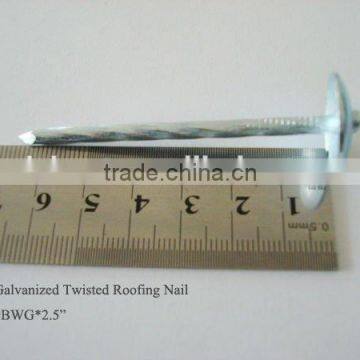 2.5inch twistgalvanized twist shank roofing nail with umbrella head