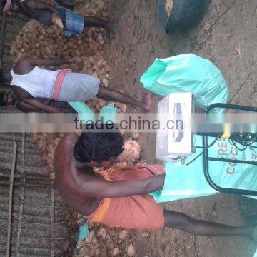 Semi Husked Cocount From Kerala photo-5