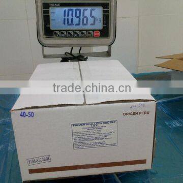 I.Q.F SCALLOPS ROE OFF photo-5