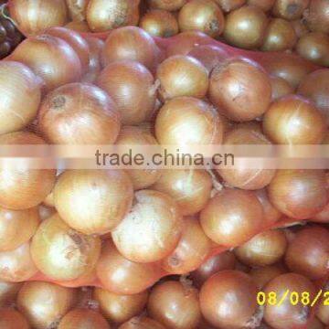 Gold Onion ( Crops 2013) photo-4