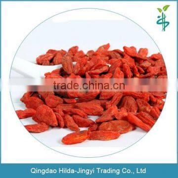 Chinese goji berries healthy food