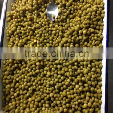 Hot selling fresh canned green peas brand