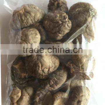 Non Pollution Organic Dried Shiitake Mushroom Dried Mushroom