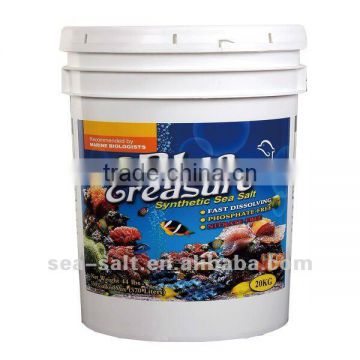 Salt water marine aquarium for ornamental fish