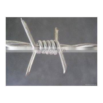 Double Strand Barbed Wire Galvanized