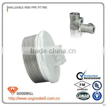 china galvanized Malleable Iron plug