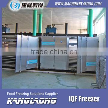 High Quality Shrimp IQF Quick Freezer Machine With Great Price