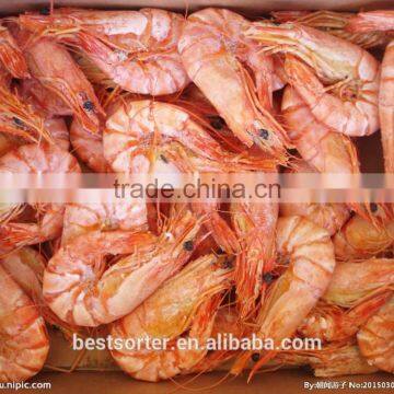 Sea Food Machinery Dried Shrimp Optical Sorter Machine Made in China