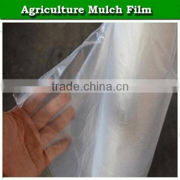 Agricultural Plastic Mulch Cover Black Mulching Film photo-5