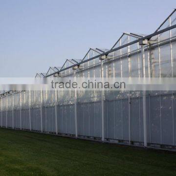Chengdu BaoLiDa Low Price Polycarbonate Greenhouse pc Sheet Greenhouse photo-2