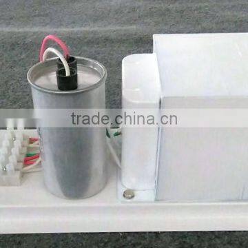 European Standard Hydroponic 600watt HPS MH Horticultural Lamp Used Open Model Grow Light Magnetic Ballast Without Outer Box photo-6